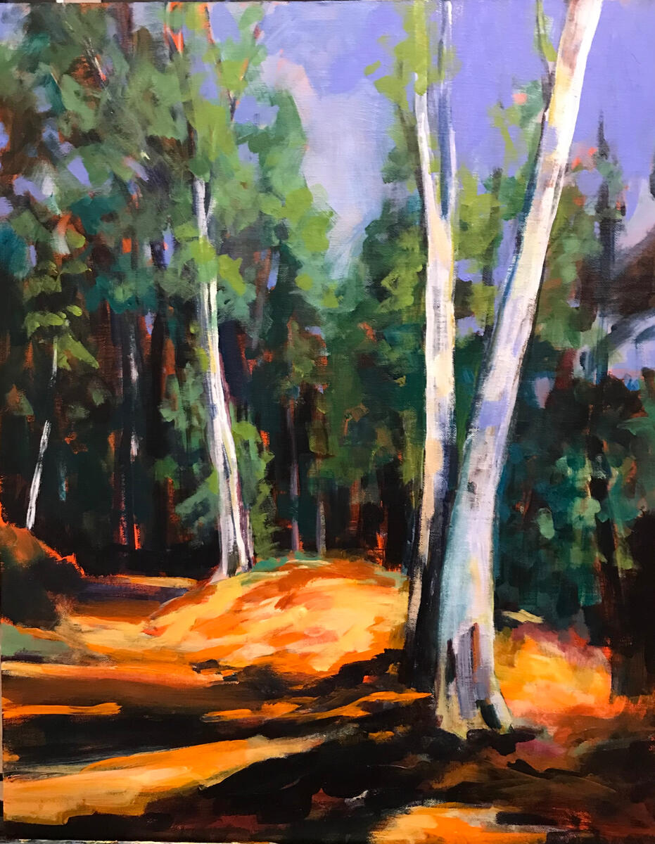 Brownsea Silver Birch – 54x63cm – £400